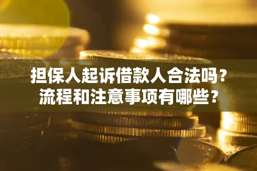 济南担保人起诉借款人合法吗？流程和注意事项有哪些？