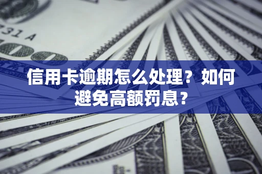 济南信用卡逾期怎么处理？如何避免高额罚息？