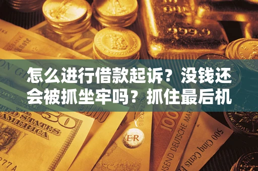 济南怎么进行借款起诉？没钱还会被抓坐牢吗？抓住最后机会！