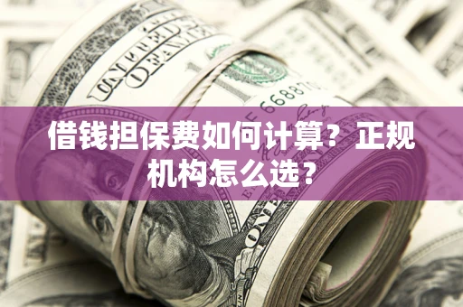 济南借钱担保费如何计算？正规机构怎么选？