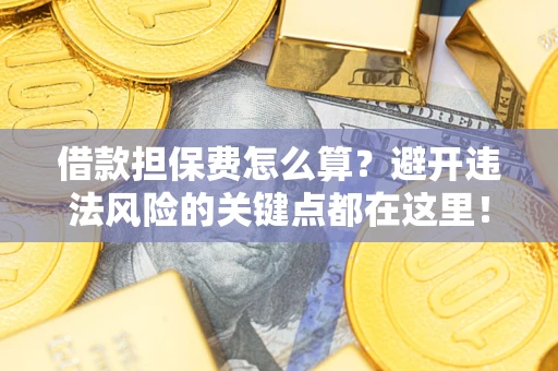 济南借款担保费怎么算？避开违法风险的关键点都在这里！