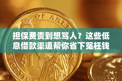 济南担保费贵到想骂人？这些低息借款渠道帮你省下冤枉钱