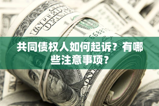 济南共同债权人如何起诉？有哪些注意事项？